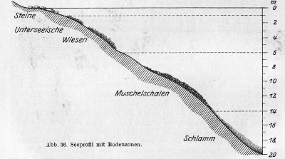 Detailansicht des aktuellen Bildes