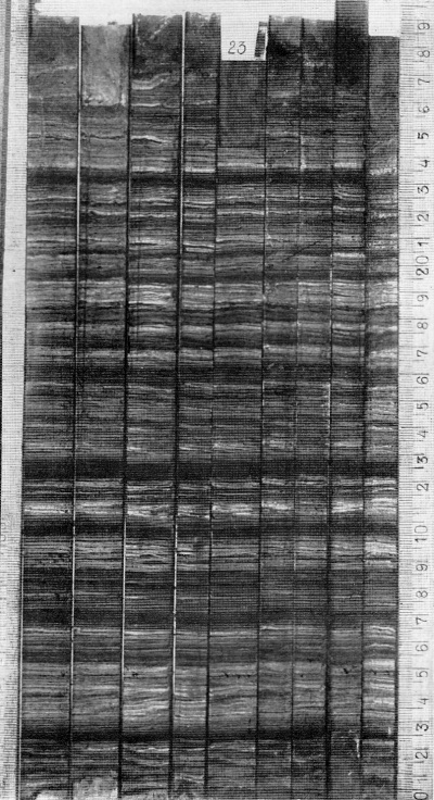 Detailed view of the current image