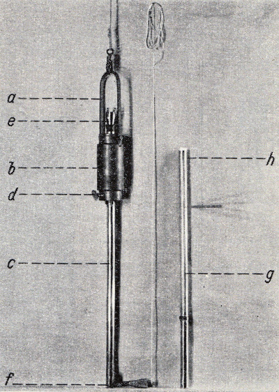 Detailed view of the current image