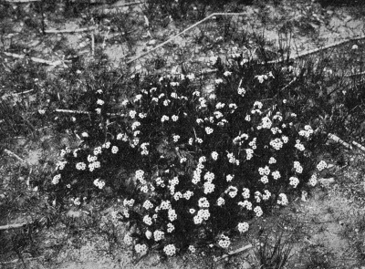 Detailed view of the current image