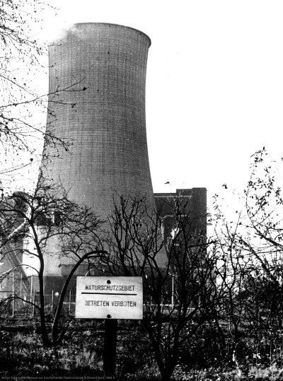 Detailed view of the current image