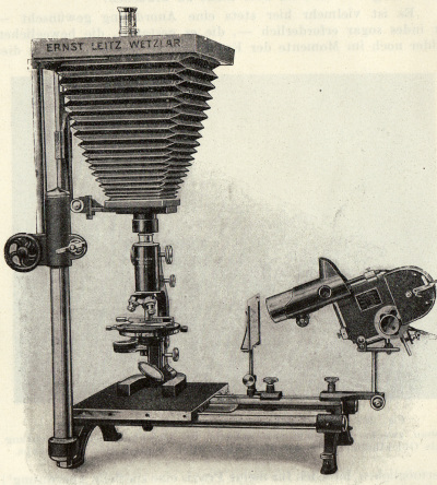 Detailed view of the current image