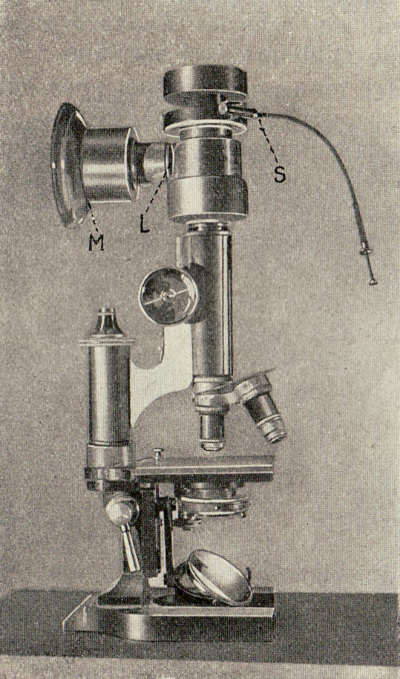 Detailed view of the current image