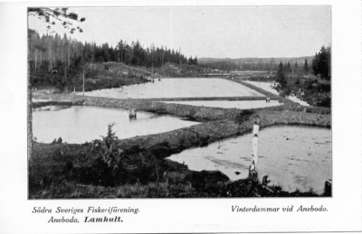Detailed view of the current image