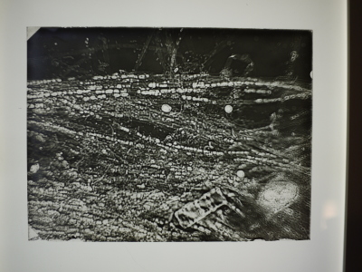 Detailed view of the current image