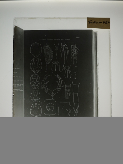 Detailed view of the current image