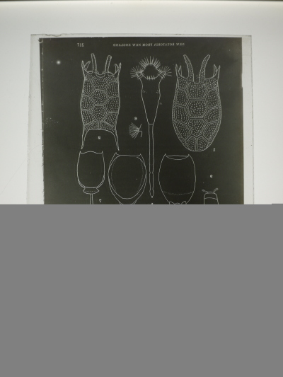 Detailed view of the current image