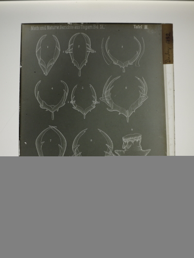 Detailed view of the current image