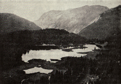 Detailed view of the current image