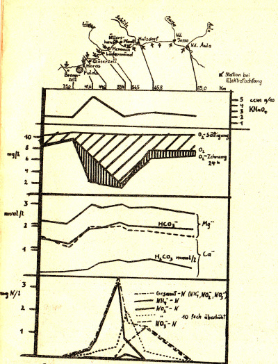 Detailed view of the current image