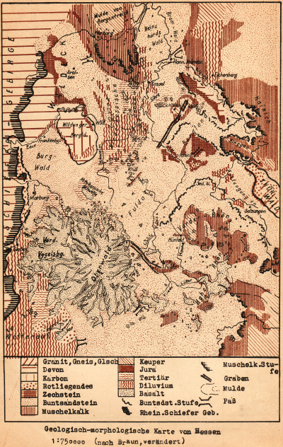Detailed view of the current image