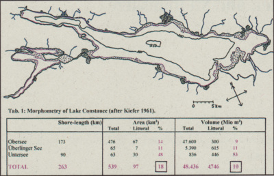 Detailed view of the current image
