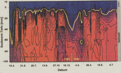 Detailed view of the current image
