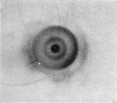 Detailed view of the current image