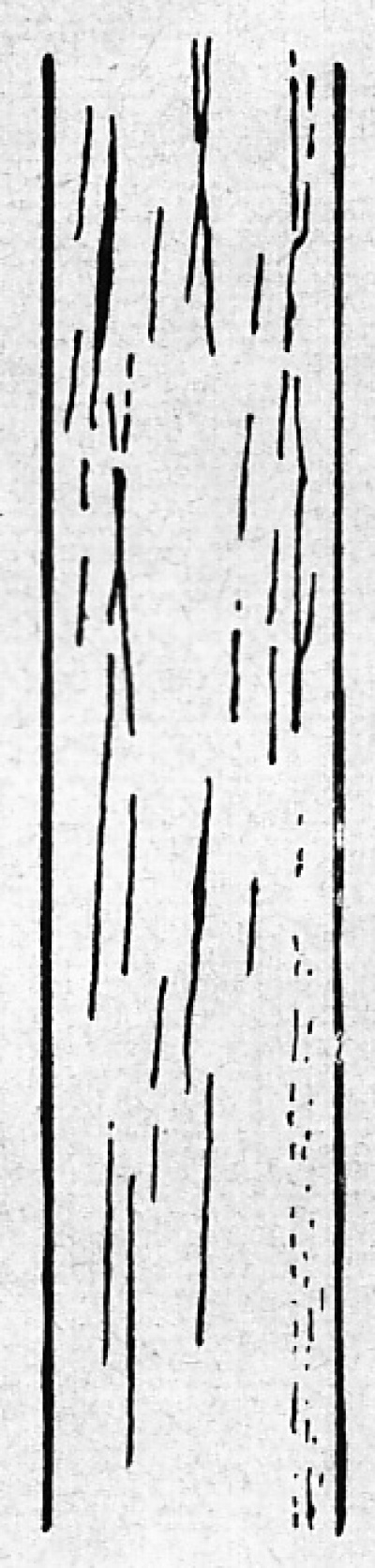 Detailed view of the current image