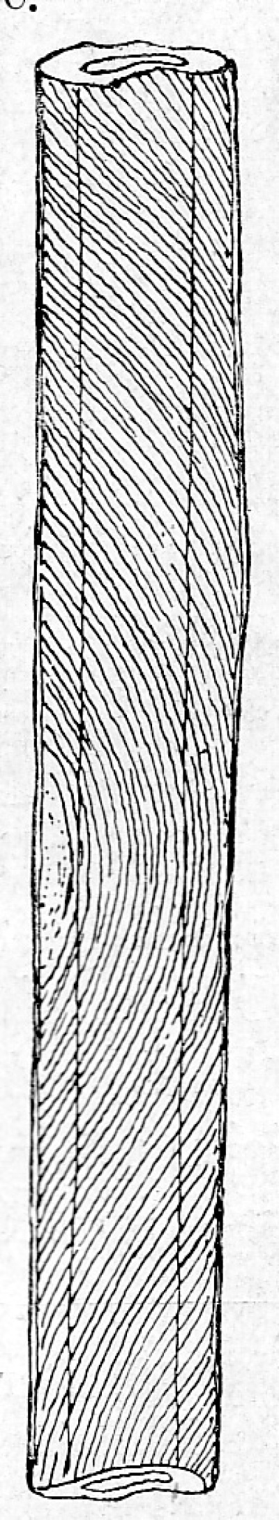 Detailed view of the current image