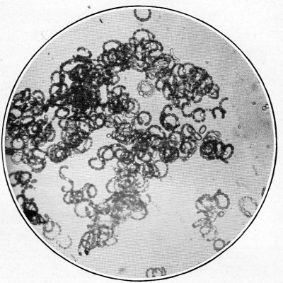 Detailed view of the current image