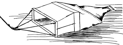 Detailed view of the current image