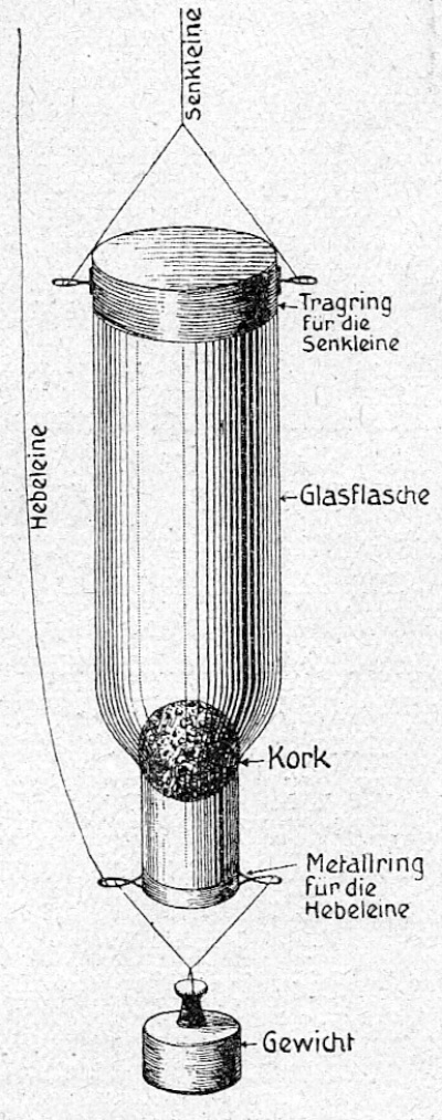 Detailed view of the current image