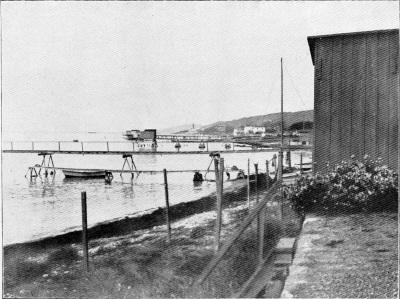 Detailed view of the current image
