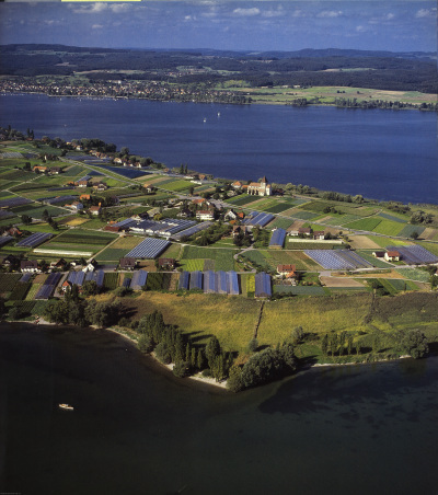 Detailed view of the current image