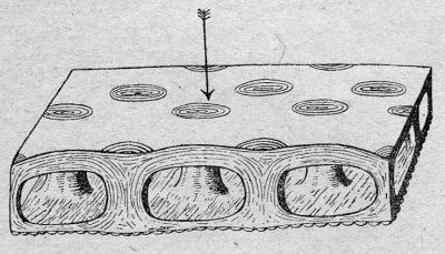 Detailed view of the current image