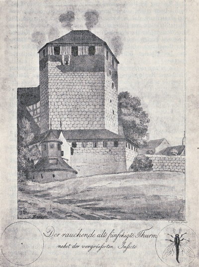 Detailed view of the current image