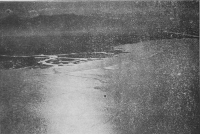 Detailed view of the current image