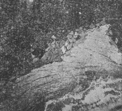 Detailed view of the current image