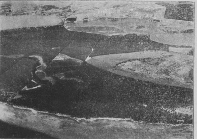 Detailed view of the current image