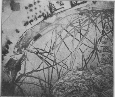 Detailed view of the current image