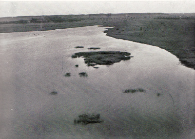 Detailed view of the current image
