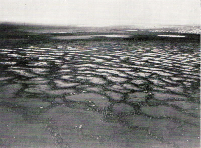 Detailed view of the current image