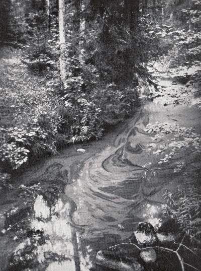 Detailed view of the current image