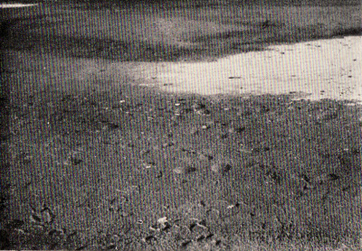 Detailed view of the current image