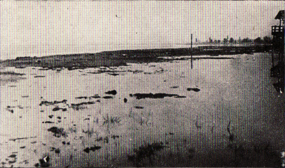 Detailed view of the current image