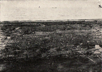 Detailed view of the current image