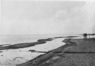 Detailed view of the current image