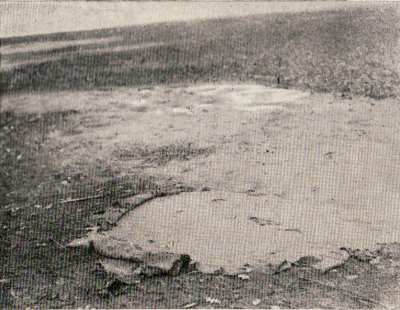 Detailed view of the current image