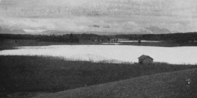 Detailed view of the current image