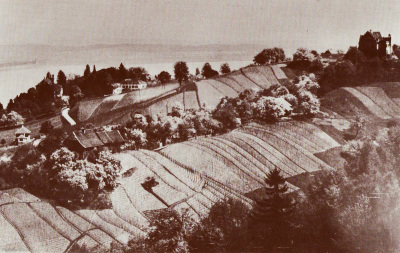 Detailed view of the current image