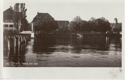 Detailed view of the current image