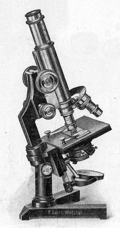 Detailed view of the current image