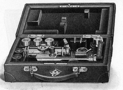 Detailed view of the current image