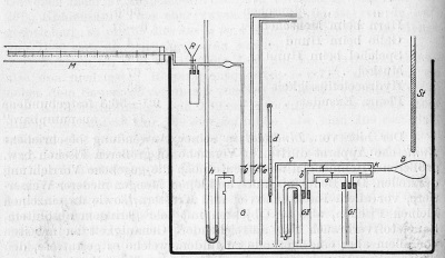 Detailed view of the current image