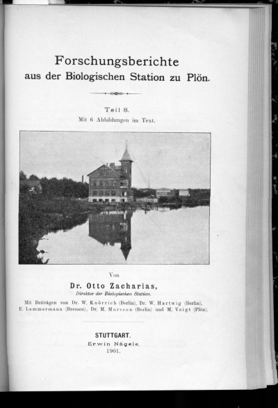 Detailed view of the current image