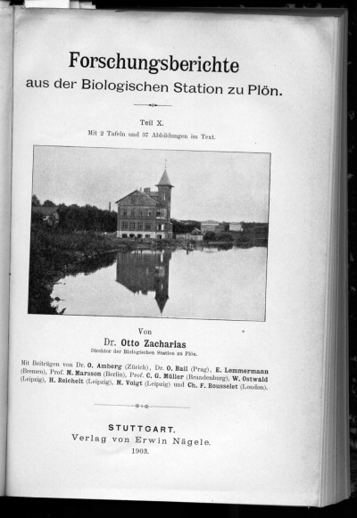 Detailed view of the current image