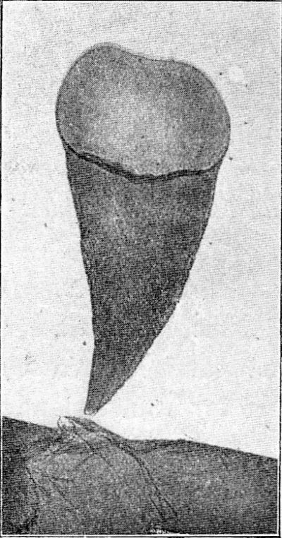 Detailed view of the current image