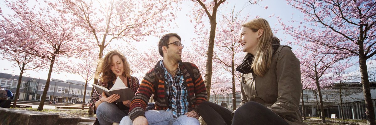 3 Studenten sitzen auf einer Steinmauer unter blühenden Kirschbäumen.