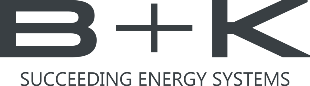 Logo Professor Dr. Berg & Kießling GmbH (B+K)